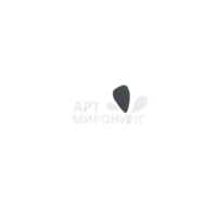 Logo of Art Miroring
